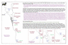 coo1e17 cape byron and danger_thumb.gif